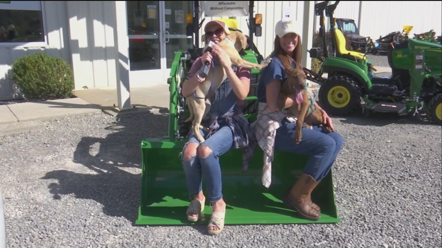 How to ‘Rent a Pet' from the Lewis-Upshur Animal Control Facility