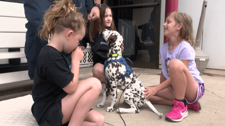 Nanticoke girl raises funds for firehouse dog