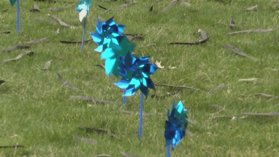 Sponsor a pinwheel for child abuse prevention awareness