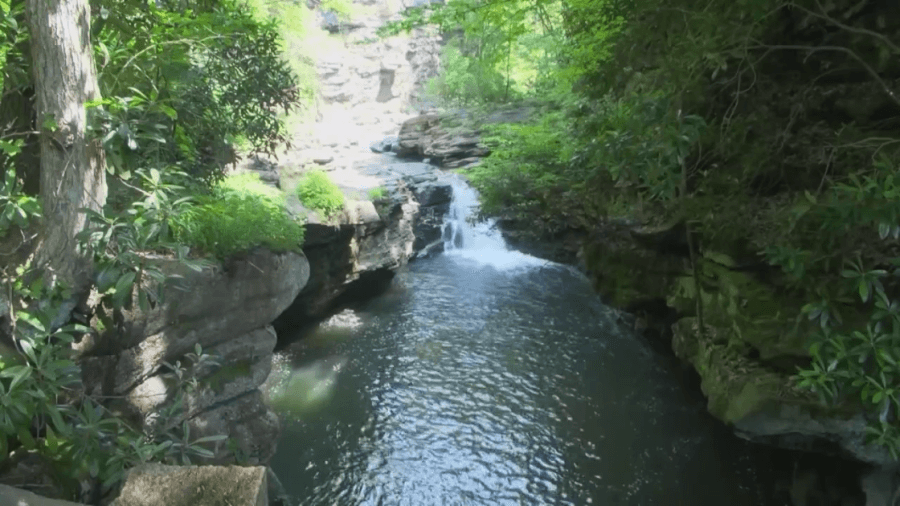 Authorities warn of the dangers of swimming in rivers