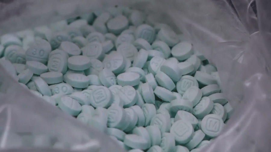 Paola's Parenting Playbook presents Fentanyl, A Guide for Parents, preview