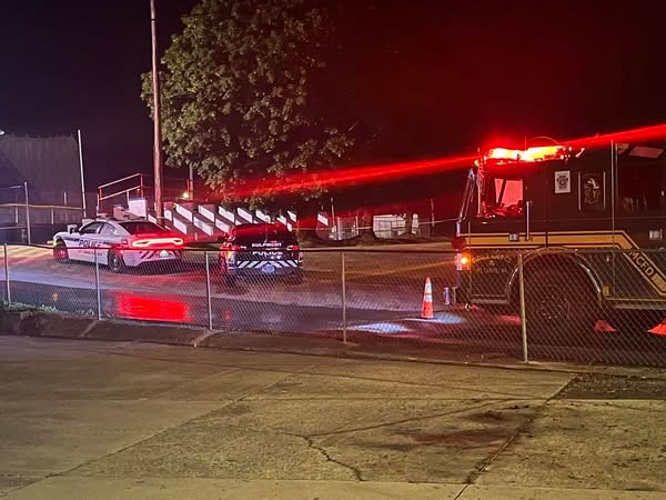 Man in custody after fight at baseball tournament