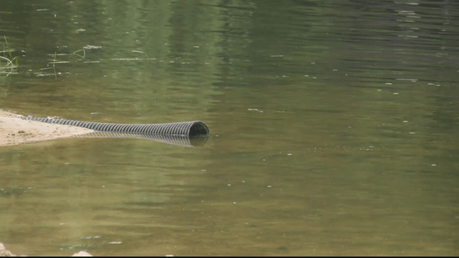 Raw sewage leaking into Lake Harmony