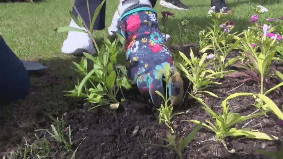 Students team up with volunteers to give Scranton splash of color