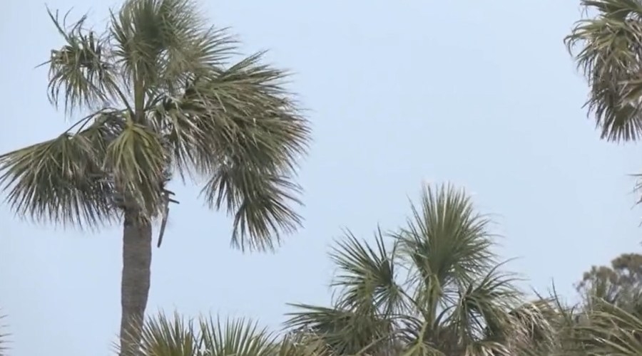 Beachgoers sound off on Horry County's wind-driven shading device ban
