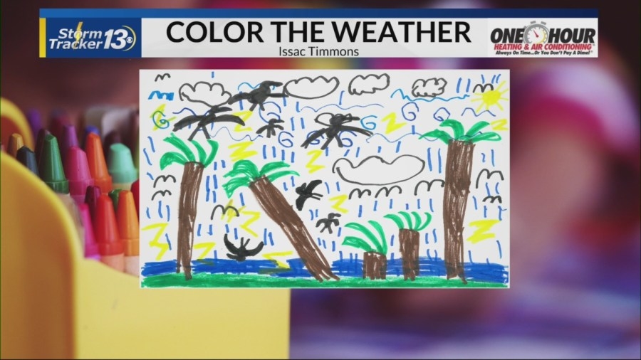 Color the Weather: Isaac Timmons