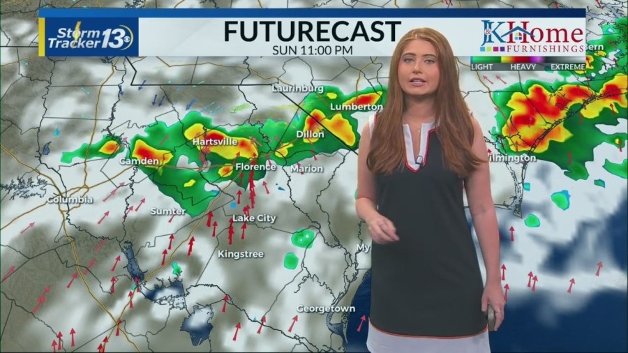 Partly sunny, then evening stray showers