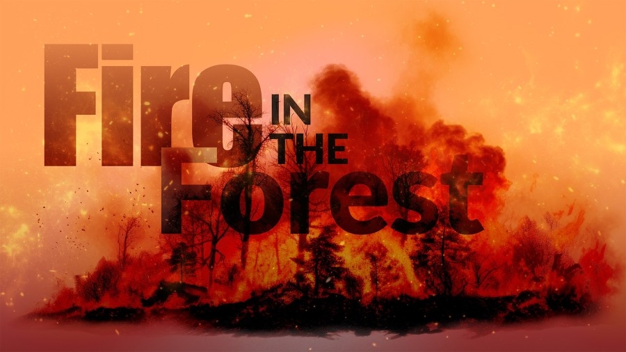 Horry County remains under burn ban, 41 other counties lifted