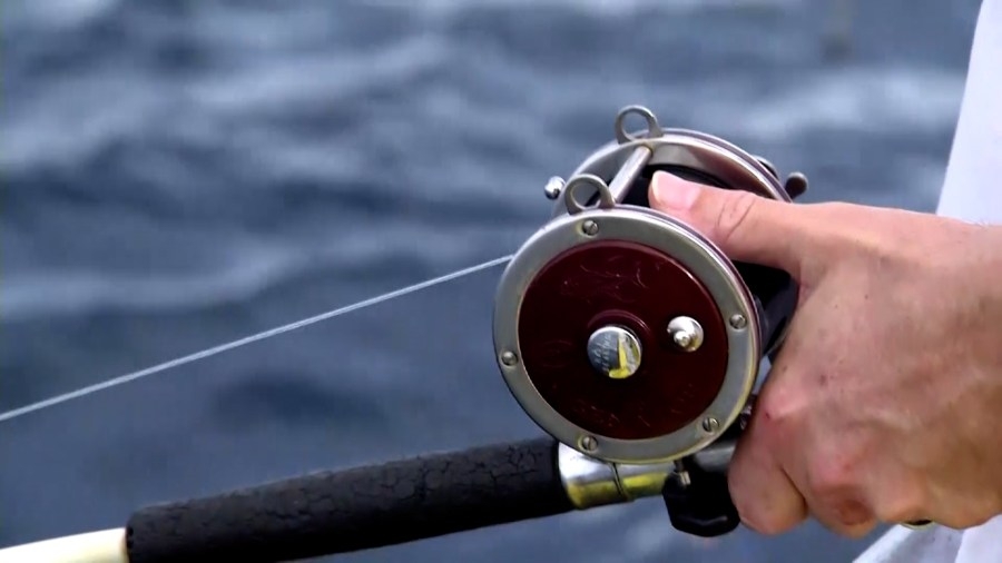 McMaster, 2 others ask U.S. Commerce secretary to allow states to manage red snapper fishing