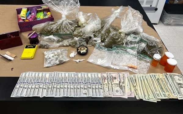 Georgetown County traffic stop leads to large drug seizure, authorities say