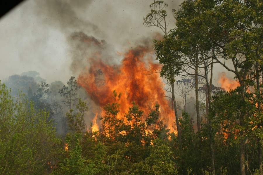 McMaster secures federal aid for wildfire relief, Evette to meet with first responders