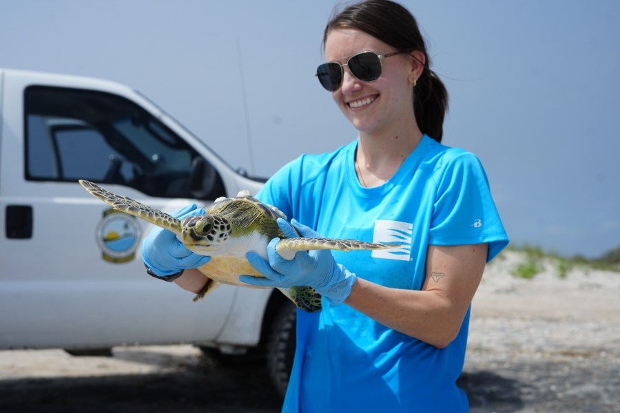SC Aquarium employees road trip to Florida for latest turtle release
