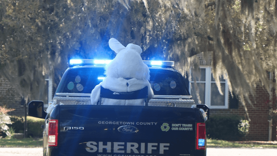 Operation Easter Bunny: Georgetown County deputies provide escort for Easter Bunny