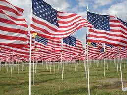 Group to place 1,000 American flags in Daniel Island field