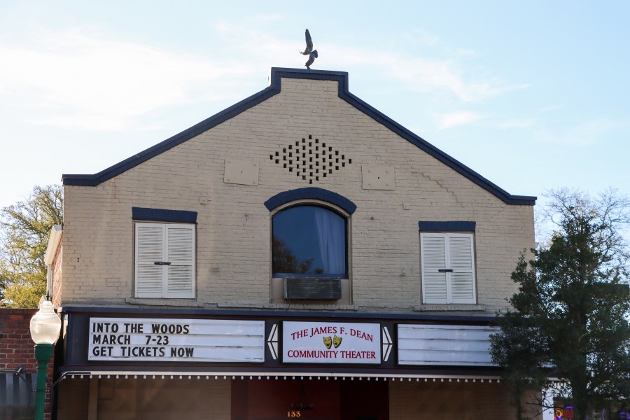 Shrek, a murder mystery, one very hungry green plant, and a Sussical holiday to make up Flowertown Players 2025 season