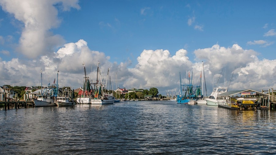 High bacteria levels found in Lowcountry water. Where to avoid.