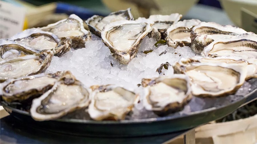 Support a cause: Pet Helpers' annual Oyster Roast in Charleston