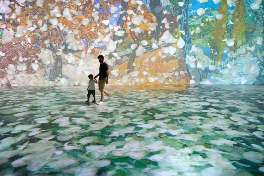 Immersive art experience coming to Festival Hall this summer