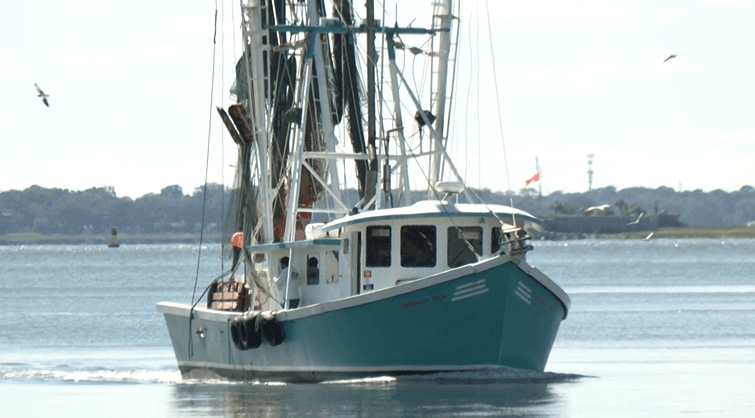 Local shrimpers see tariffs as opportunity, want targeted approach