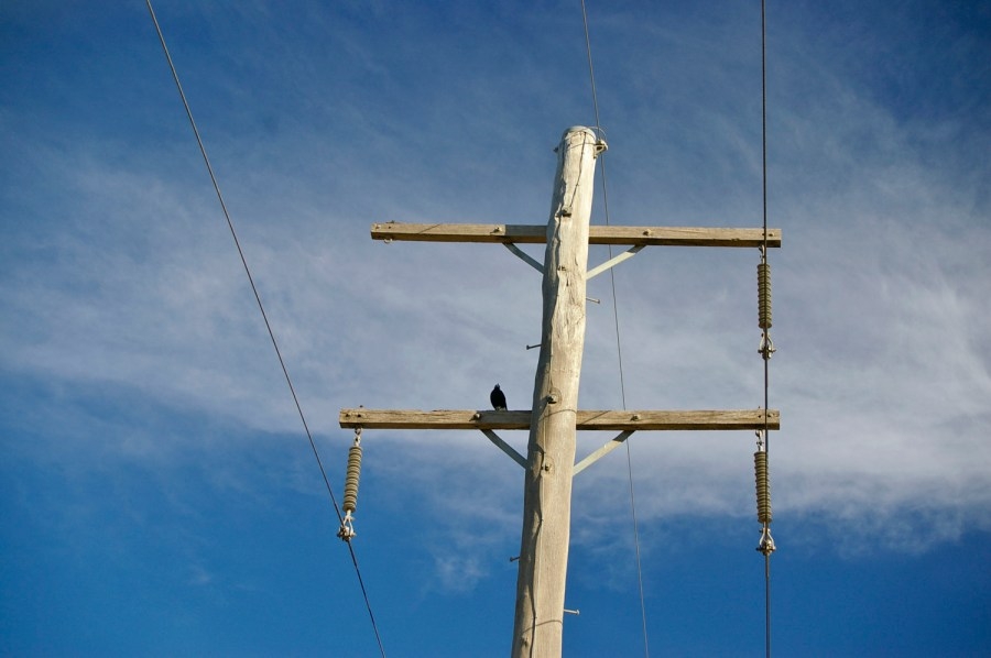 New polls shows majority of South Carolinians want a more competitive energy sector