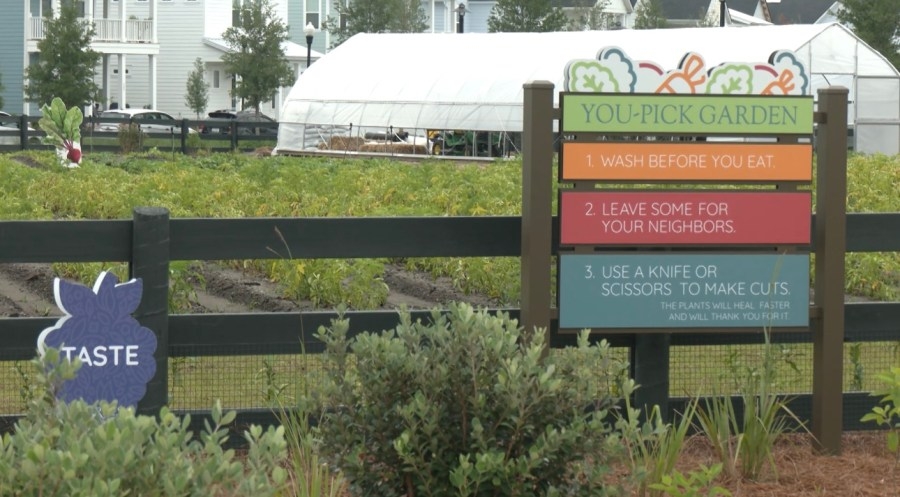 Carnes Crossroads launches agrihood community