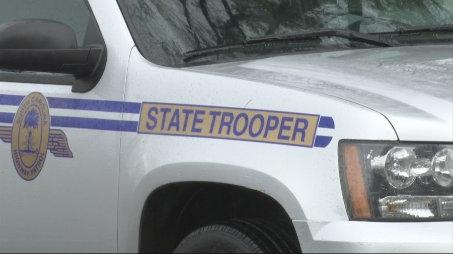 Pedestrian dies after collision on I-26, state troopers say