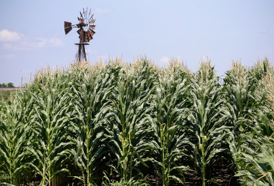 From the Farm: Illinois Corn Grower testifies on new Farm Bill