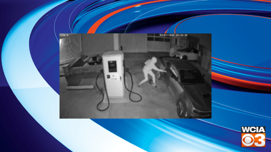 Police seeking tips after theft at dealership in Livingston Co.