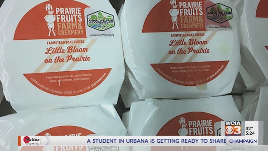 Champaign business home to top 60 cheese in the world