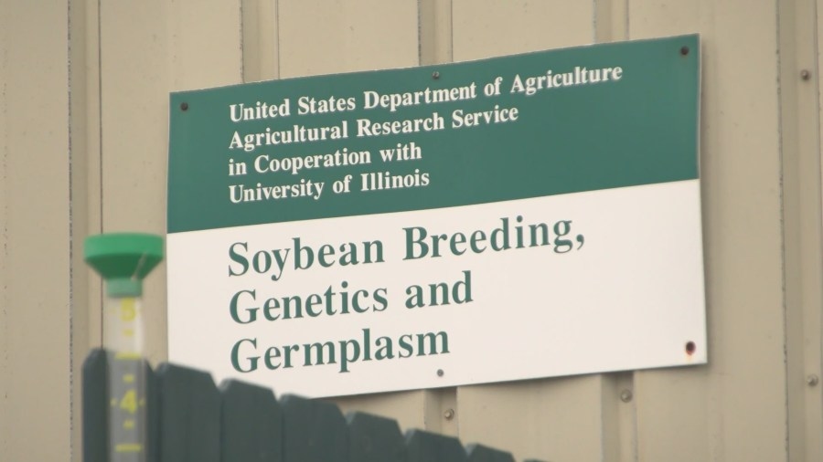 Corn genetics lab faces relocation, pending 2026 federal budget
