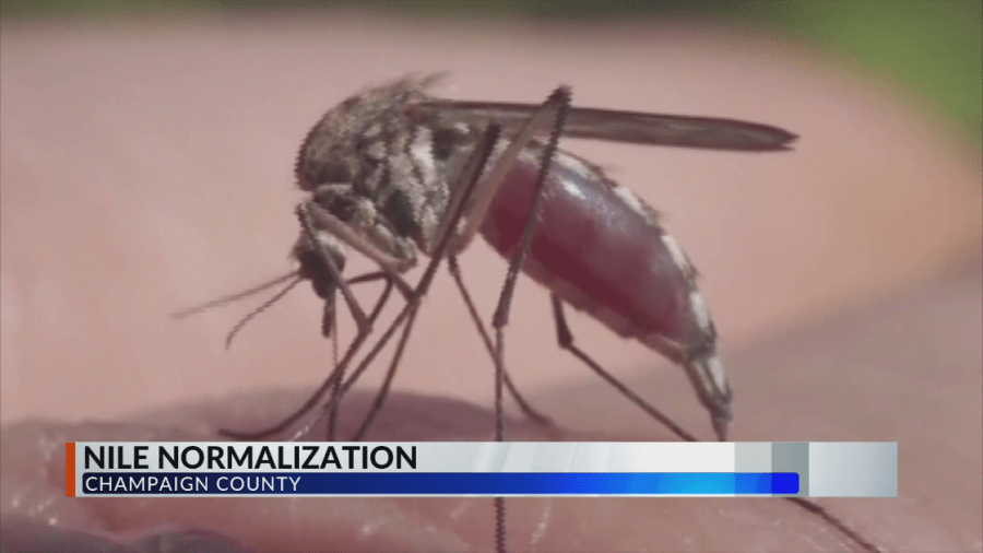 CUPHD pushing preventative mosquito measures for summer