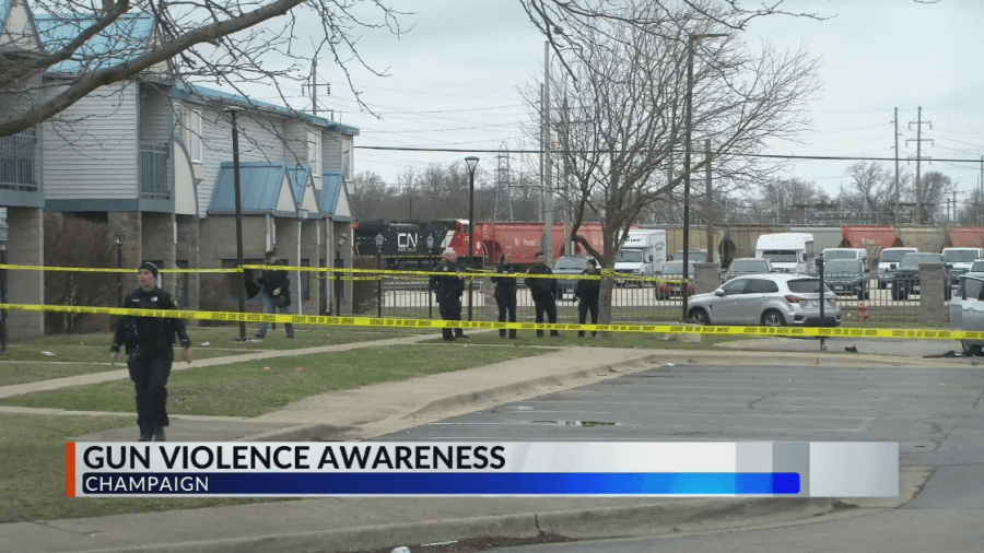 Champaign woman to host event for gun violence, drug abuse awareness