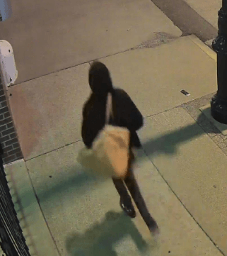 Springfield Fire Dept., Crime Stoppers looking for tips in arson case