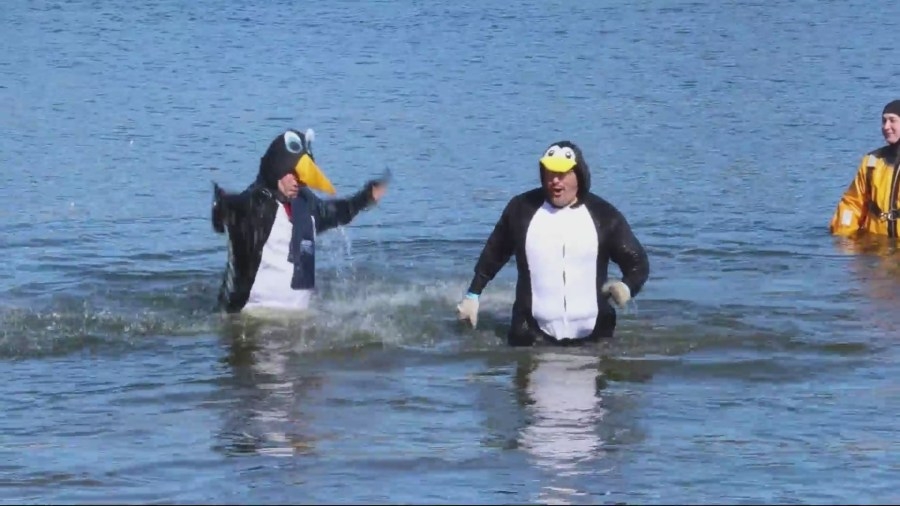 Mahomet Polar Plunge draws closer, over $59k raised for Special Olympics