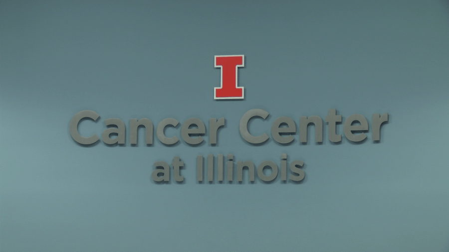 U of I researchers link bacteria to prostate cancer growth