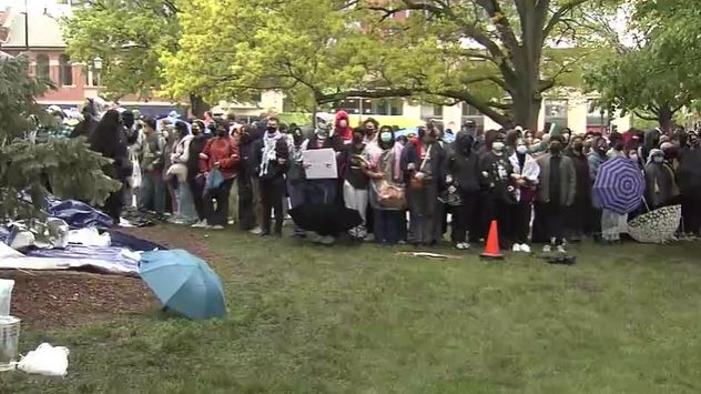 Third defendant in U of I pro-Palestine protest pleads guilty to misdemeanor