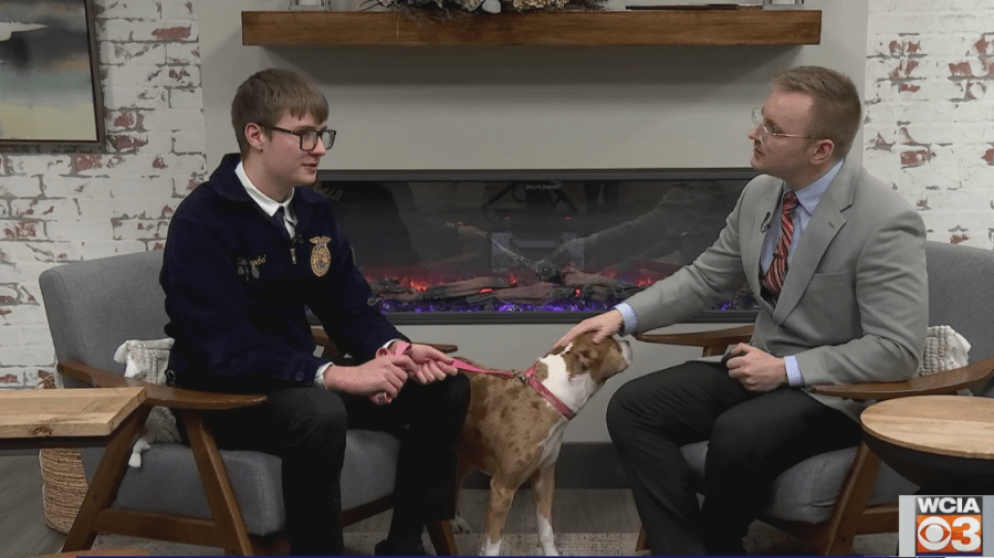 Community Spotlight: National FFA Week wraps up in Central IL