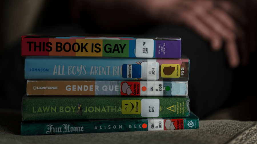 LGBTQ+ advocates condemn Ohio budget plan to defund youth shelters, restrict books