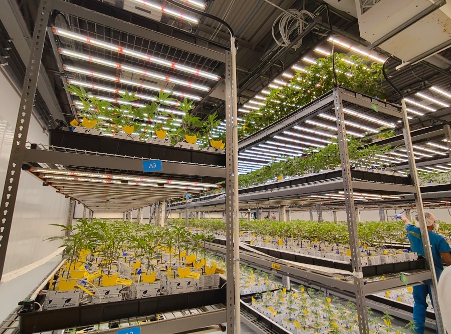 Ohioans spent nearly $80 million on cannabis last month, with clear product preferences
