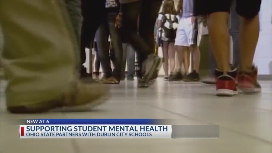 Ohio State partners with Dublin City Schools to support students' mental health