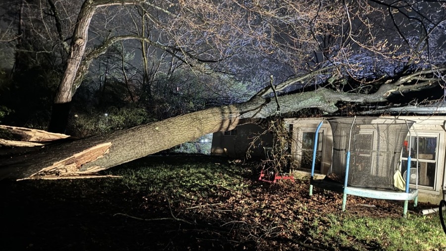 Teen on the mend after tree falls into house during storm