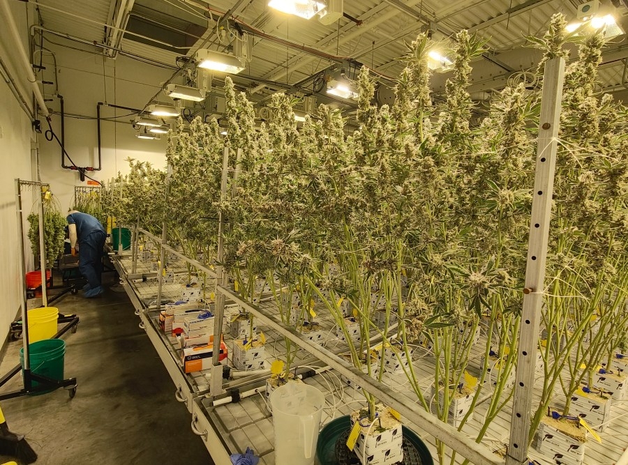 How Ohio lawmakers are trying to change marijuana rules