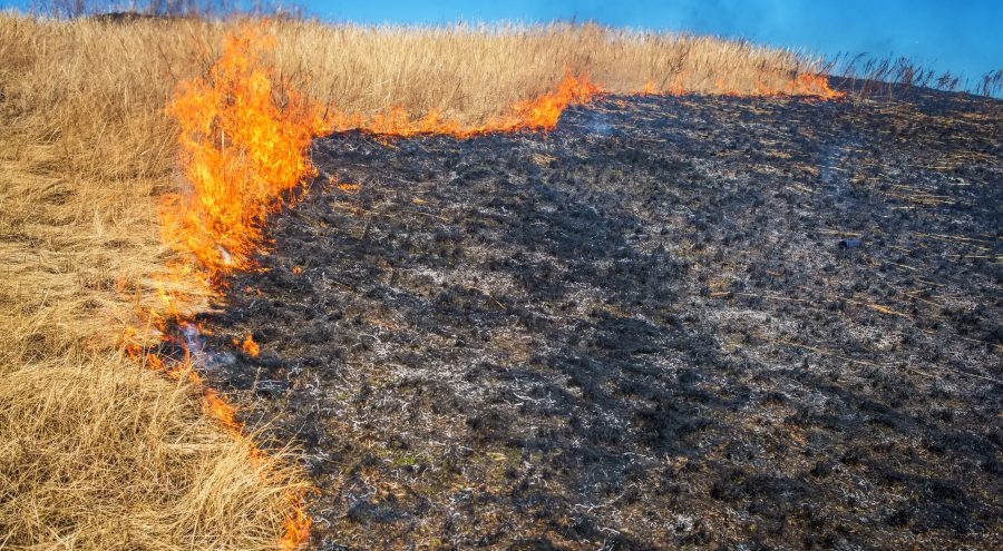 Kansas City, Kansas Fire Department urges caution during dry conditions