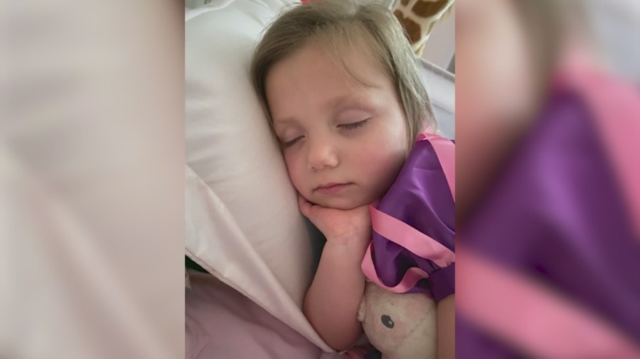 Stuffed animal left on vacation returns to metro girl's arms