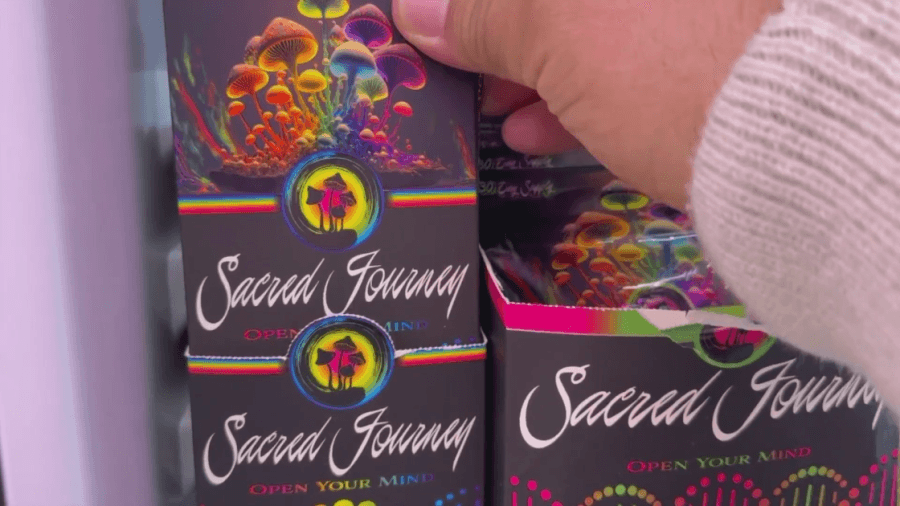 Sweet mystery: Mushroom candy bars soar but ingredients remain unknown
