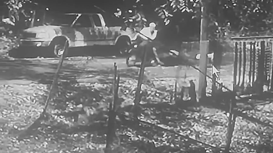 KC Pet Project responds to recent lawsuit over deadly dog mauling incident