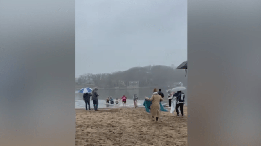 Happy Hearts Working lake plunge raises money for adults with disabilites