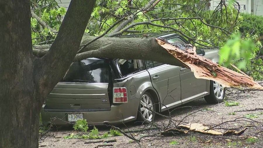 Metro driver describes tree that fell on car within inches of striking him