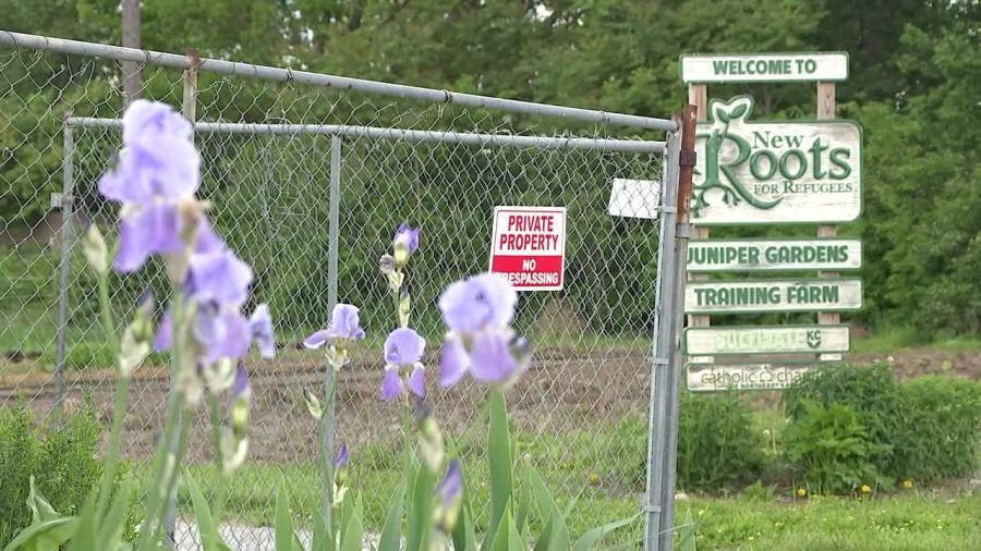 Federal cuts impact Kansas City-area farming program