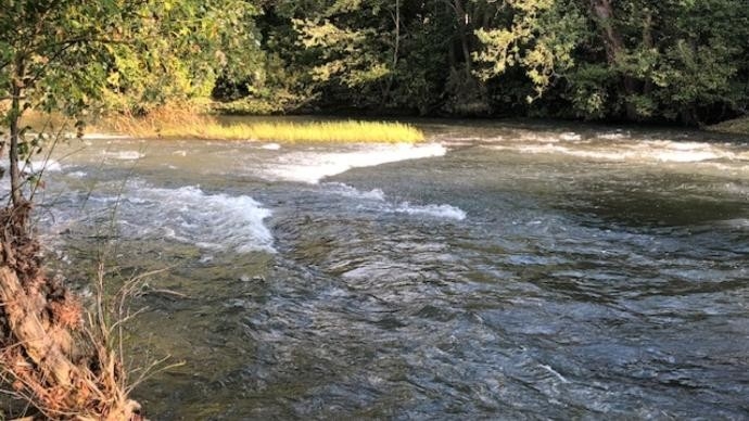 Search underway on Elkhorn Creek for missing man, 4 rescued after group of tubers pulled underwater by current